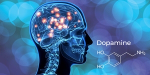 dopamine image